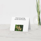 Carte de note pour les gousses de graines séchées (Dos)
