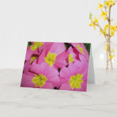 Carte de note Primrose jaune rose (Fleur jaune)