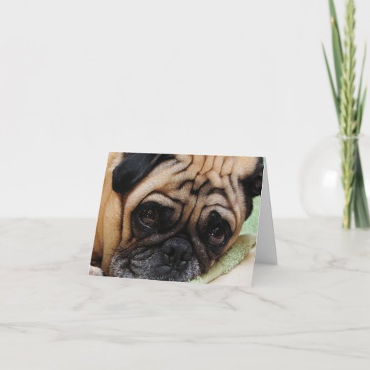 Carte de note Puggy triste (Devant)