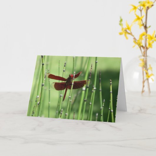 Carte de note Red Dragonfly (Fleur jaune)