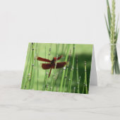 Carte de note Red Dragonfly (Devant)