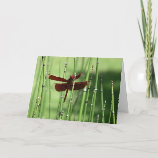 Carte de note Red Dragonfly (Devant)