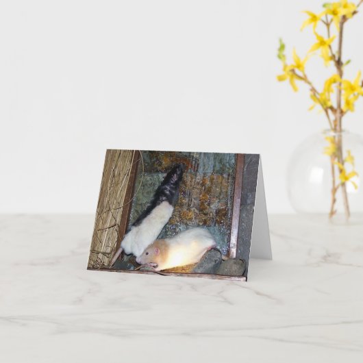 Carte de note Rex and Gizmo Pet Rat (Fleur jaune)