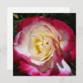 Carte de note rose (Devant / Derrière)