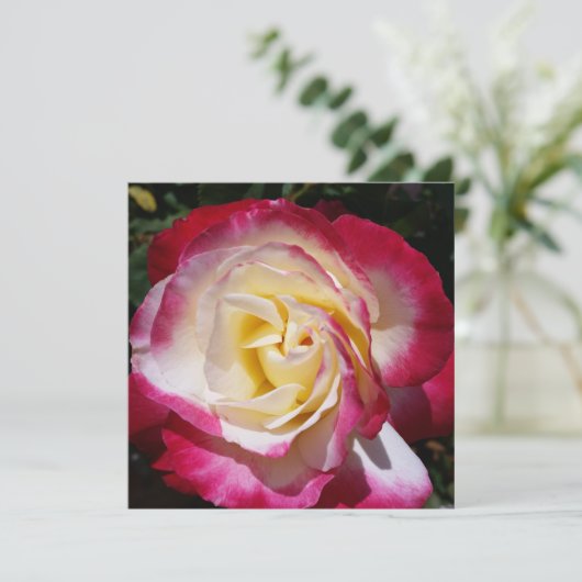 Carte de note rose (Debout devant)