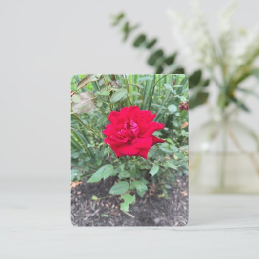 Carte de note rose (Debout devant)