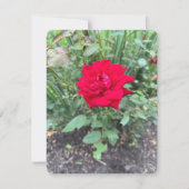 Carte de note rose (Devant)