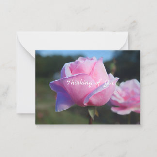 Carte de note Roses roses roses