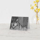 Carte de note sauvage de loup (Fleur jaune)