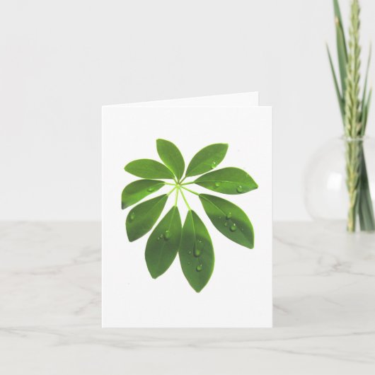 Carte de note Schefflera (Devant)