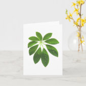 Carte de note Schefflera (Fleur jaune)