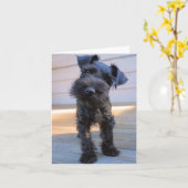 Carte de note Schnauzer miniature #1 - vide (Fleur jaune)