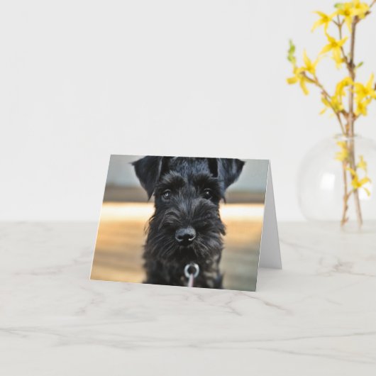Carte de note Schnauzer miniature #3 - vide (Fleur jaune)