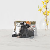 Carte de note Schnauzer miniature #4 - vide (Fleur jaune)