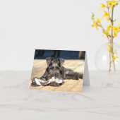 Carte de note Schnauzer miniature #6 - vide (Fleur jaune)