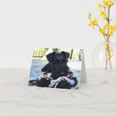 Carte de note Schnauzer Miniture n° 5 - vide (Fleur jaune)