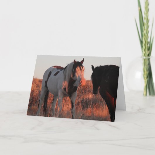 Carte de note Shaman pliée 5x7 (Devant)