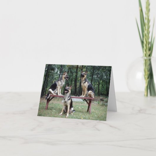 Carte de note Shepard allemande (Devant)