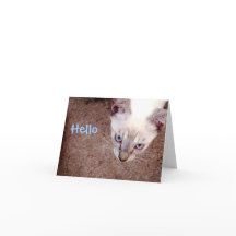Carte de note siamoise de chaton "bonjour "