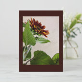 Carte de note simple Sunflowers pour manuscrit (Debout devant)