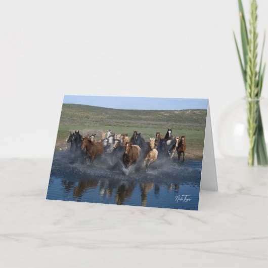 Carte de note Splash ! (Devant)