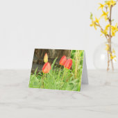 Carte de note Spring Time 2 (Fleur jaune)