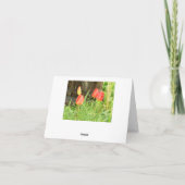 Carte de note Spring Time 2 (Dos)