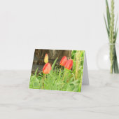 Carte de note Spring Time 2 (Devant)