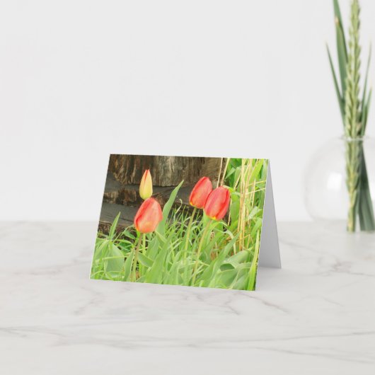 Carte de note Spring Time 2 (Devant)