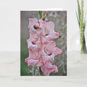 Carte de note Stalk rose Gladiolus Fleurs