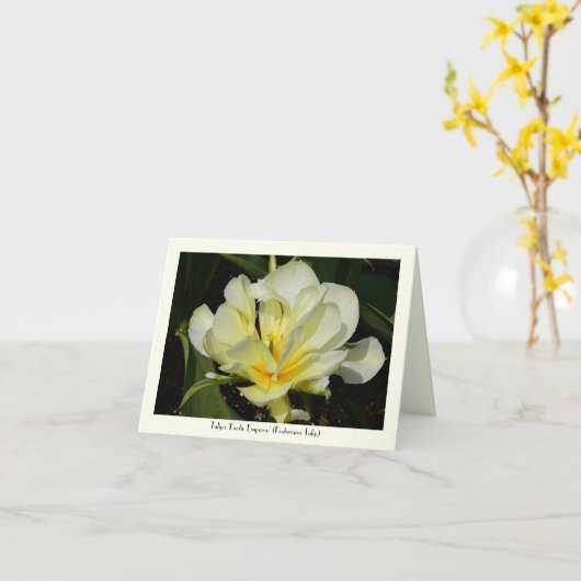 Carte de note stationnaire de salutation de tulipe (Fleur jaune)