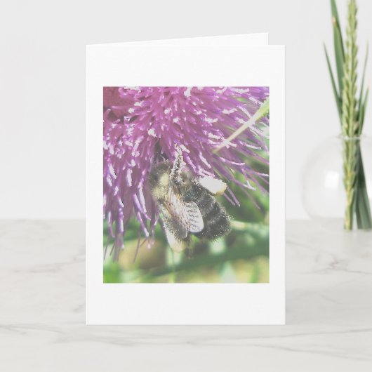 Carte de note sur le pollen de chardon (Devant)