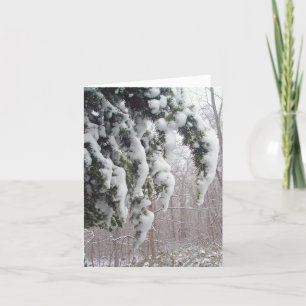 Carte de note sur l'épinette neigeuse