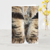 Carte de note Tabby Legs - Vide dans (Fleur jaune)