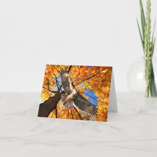 Carte de note "The Sunday Hawk" (Devant)
