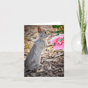 Carte de note Une rose pour vous