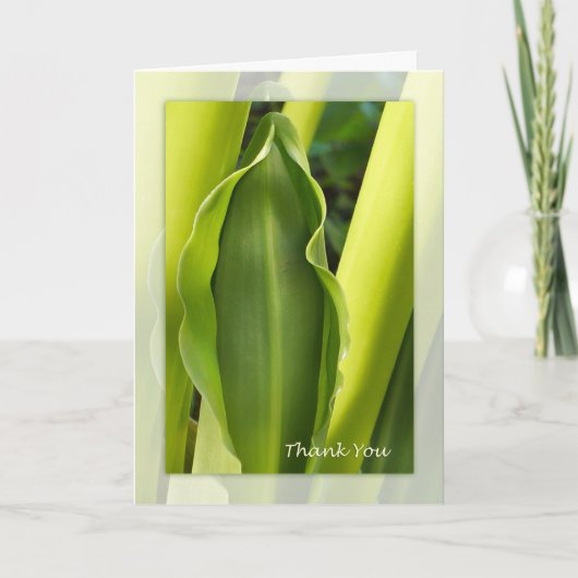 Carte de note verte de Merci de feuille (Devant)