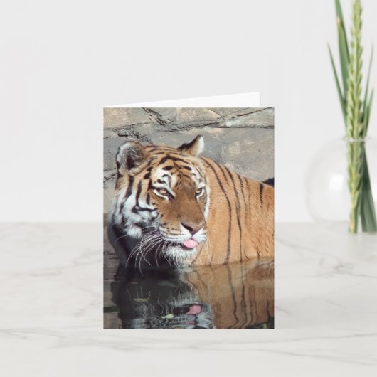 Carte de note verticale blanche du tigre du Bengal (Devant)