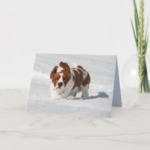 Carte de note vierge avec Basset Hound
