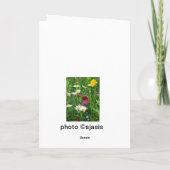 Carte de note vierge : Fleurs sauvages de printemp (Dos)