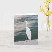 Carte de note vierge Key Shore Birat à Siesta (Fleur jaune)