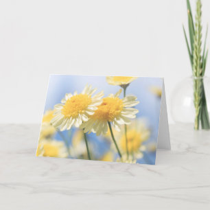 Carte de note vierge - Marguerite jaune soleil