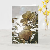 Carte de note vierge Sun Flare Yellow Roses (Fleur jaune)