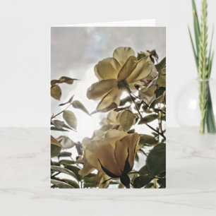 Carte de note vierge Sun Flare Yellow Roses