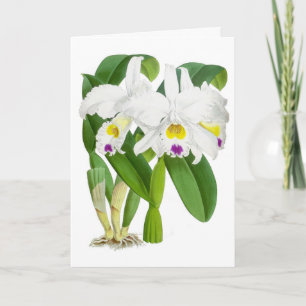Carte de note vintage blanche orchidée