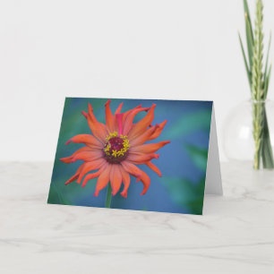 Carte de note Zinnia