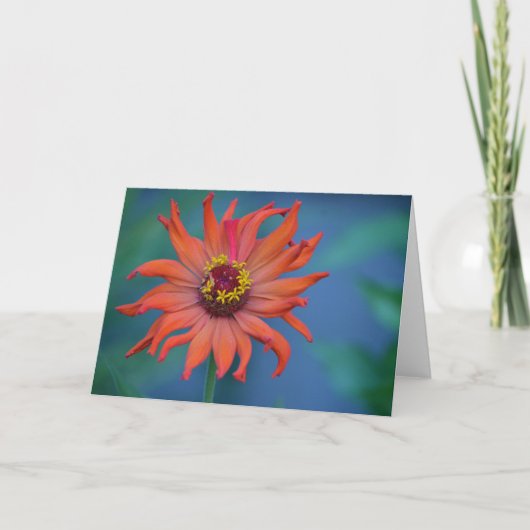 Carte de note Zinnia (Devant)