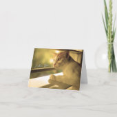 Carte de notes (Devant)