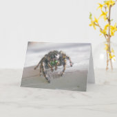 Carte de notes Araignée de saut (Phiddipus audax) (Fleur jaune)