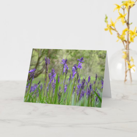 Carte de notes Bluebells (Fleur jaune)